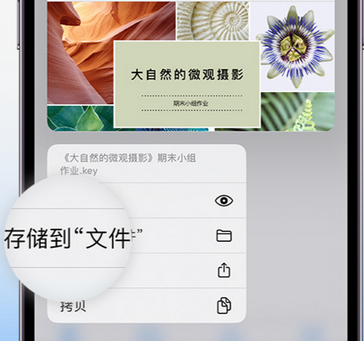 阿克塞apple维修中心分享iPhone文件应用中存储和找到下载文件