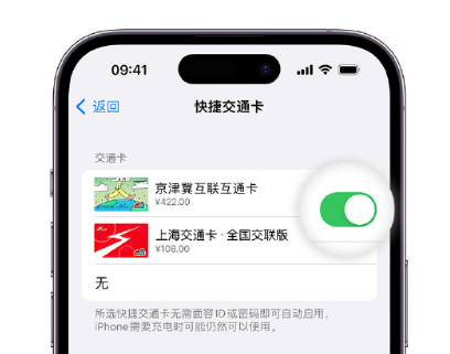 阿克塞apple维修点分享iPhone上更换Apple Pay快捷交通卡手绘卡面 