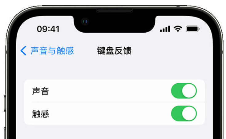 阿克塞苹果手机维修分享iPhone 14触感键盘使用方法 