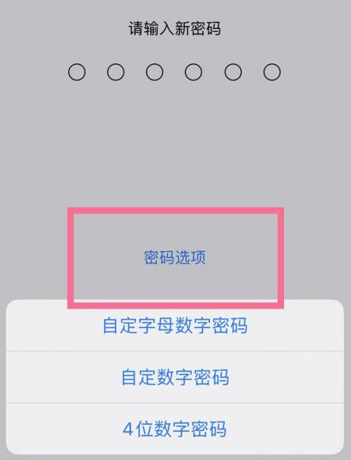 阿克塞苹果14维修分享iPhone 14plus设置密码的方法 