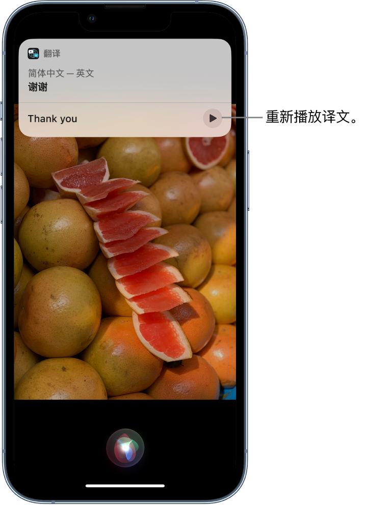 阿克塞苹果14维修分享 iPhone 14 机型中使用 Siri：了解 Siri 能帮你做什么 