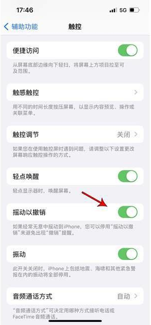 阿克塞苹果手机维修分享iPhone手机如何设置摇一摇删除文字 